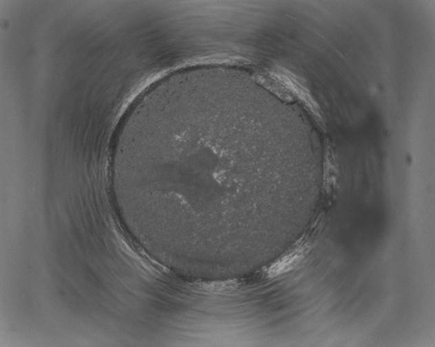 X0000067870156200604201227