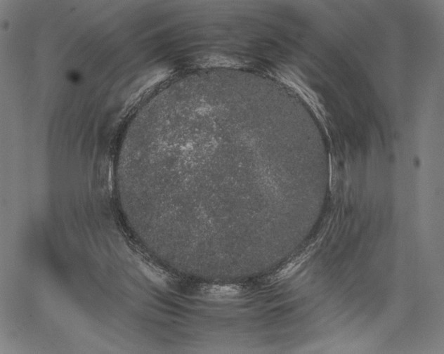 X0000067870157200604201227