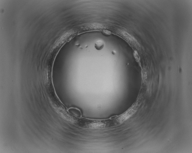 X0000067870158200604201227