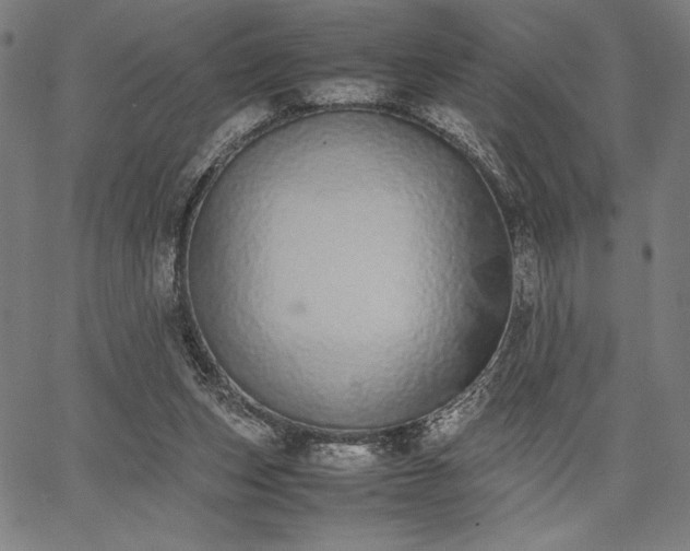 X0000067870159200604201227