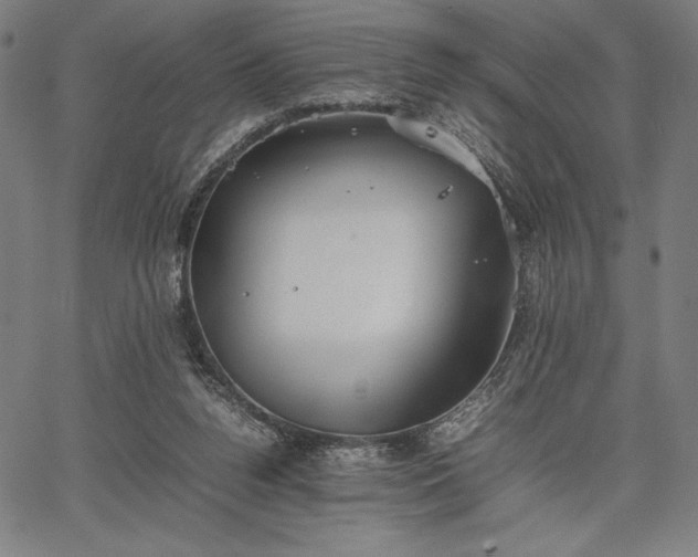 X0000067870160200604201227