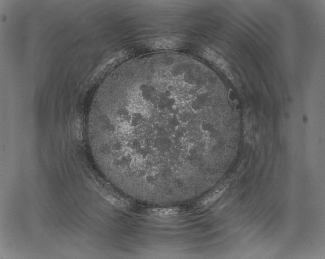 X0000067870161200604201227