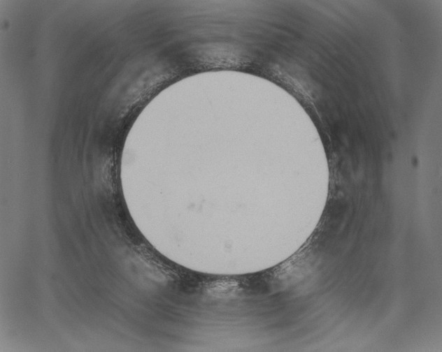 X0000067870162200604201227