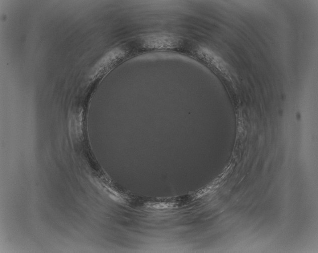 X0000067870163200604201227