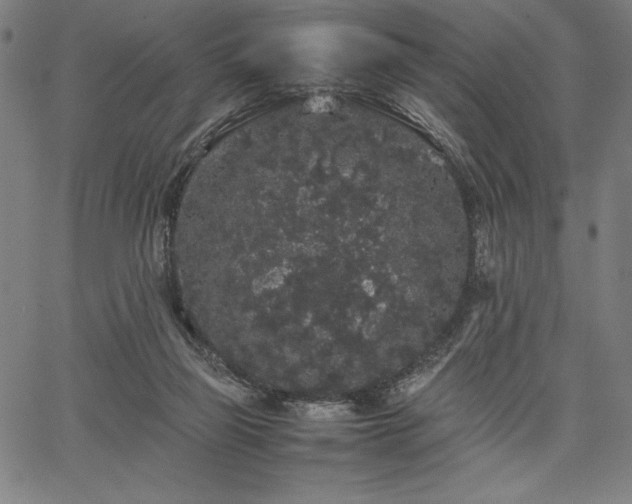 X0000067870165200604201227