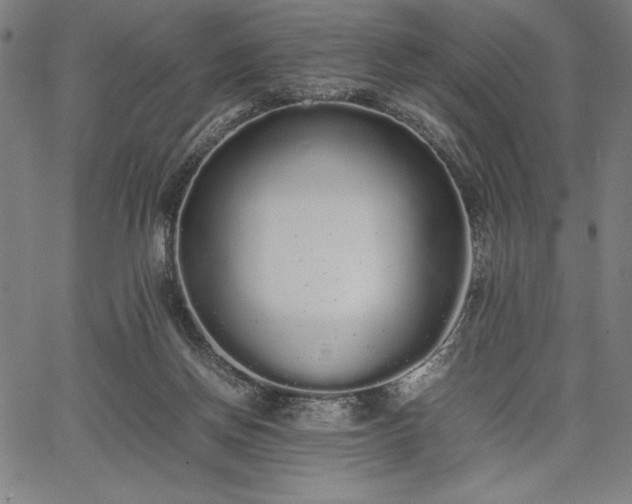 X0000067870166200604201227