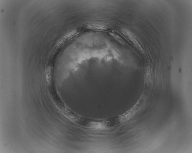 X0000067870167200604201227