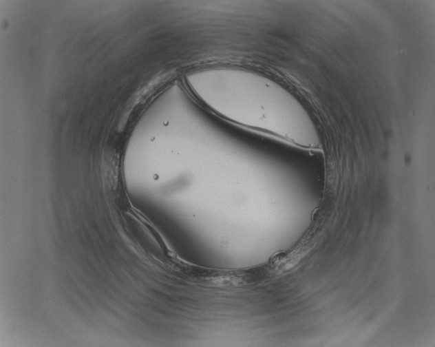 X0000067870168200604201227