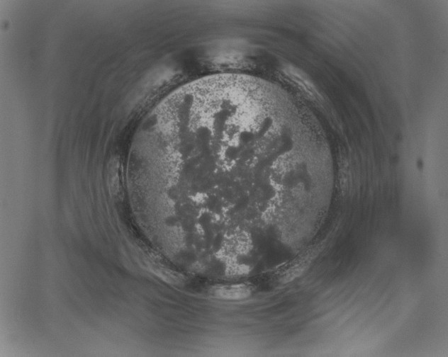 X0000067870169200604201227