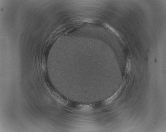 X0000067870170200604201227