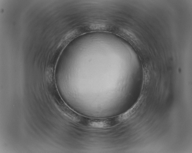 X0000067870171200604201227