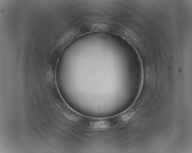 X0000067870173200604201227