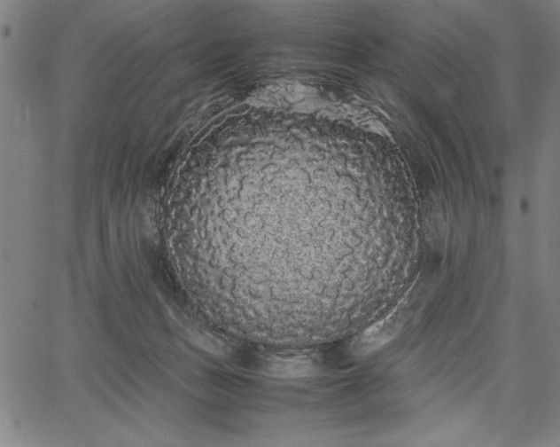 X0000067870175200604201227