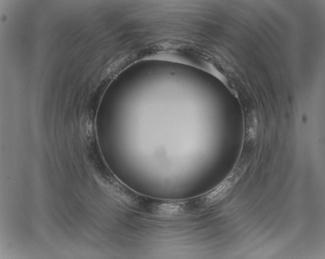 X0000067870176200604201227