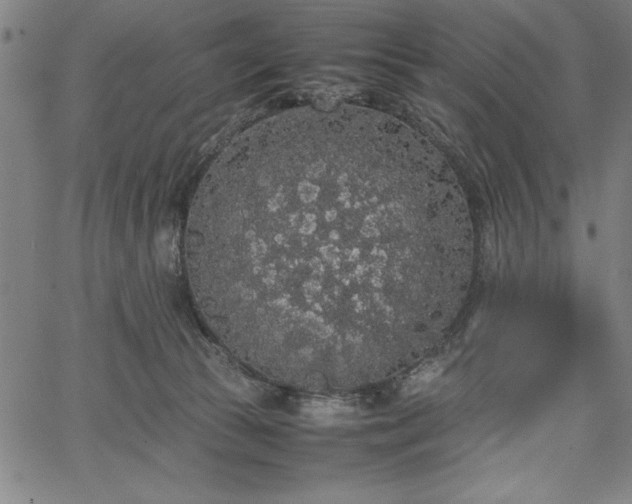 X0000067870177200604201227