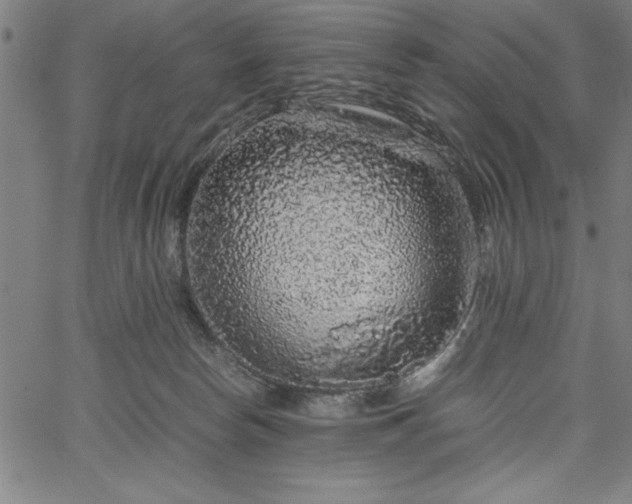 X0000067870178200604201227