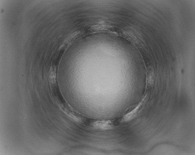 X0000067870179200604201227