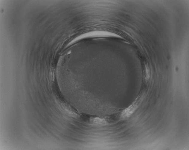 X0000067870180200604201227