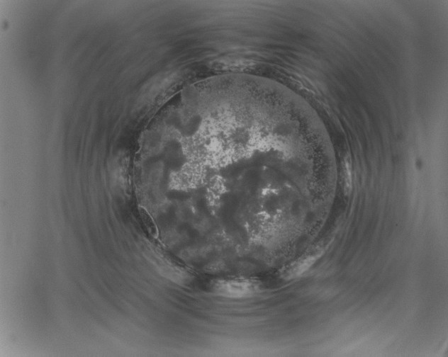 X0000067870181200604201227