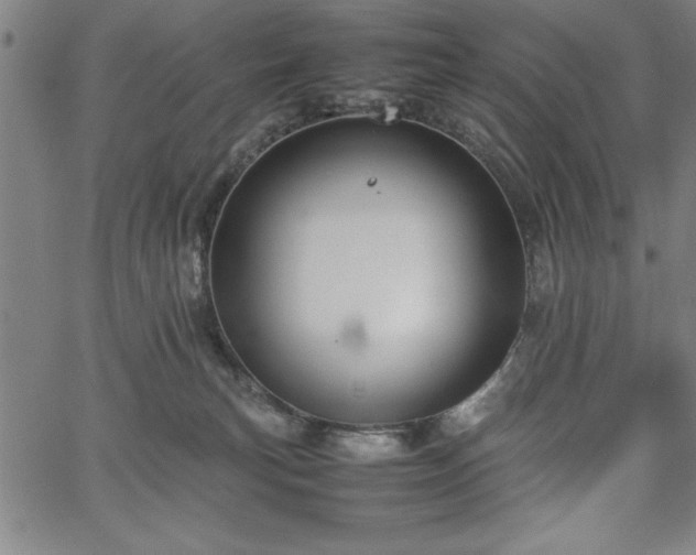 X0000067870183200604201227