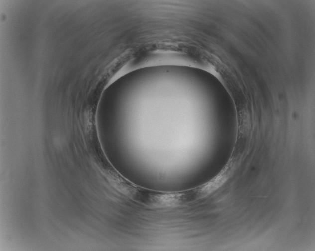 X0000067870184200604201227