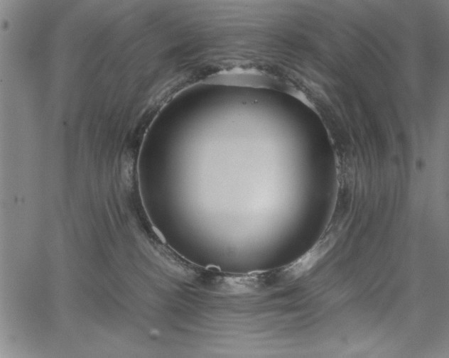 X0000067870188200604201227