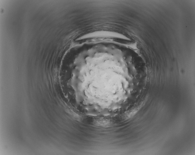 X0000067870189200604201227