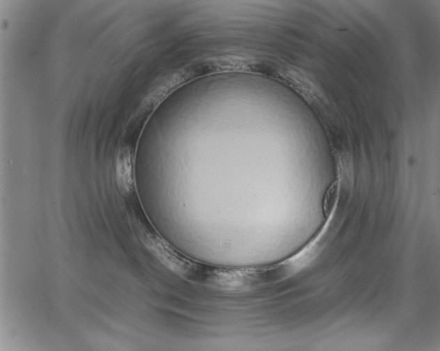 X0000067870190200604201227