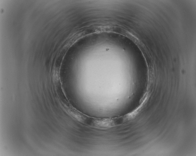 X0000067870191200604201227