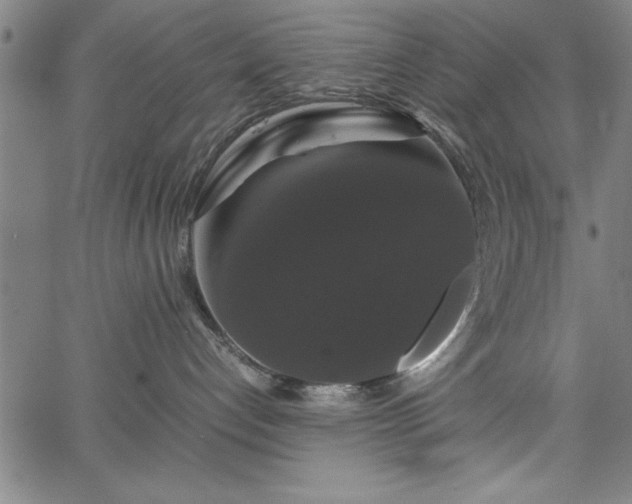 X0000067870192200604201227