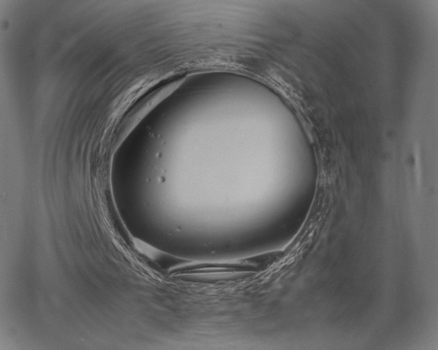 X0000067870193200604201226