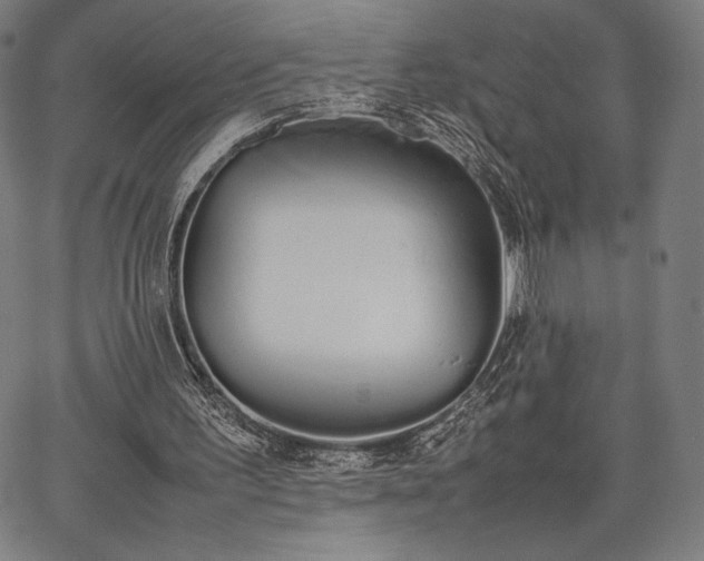 X0000067870195200604201226