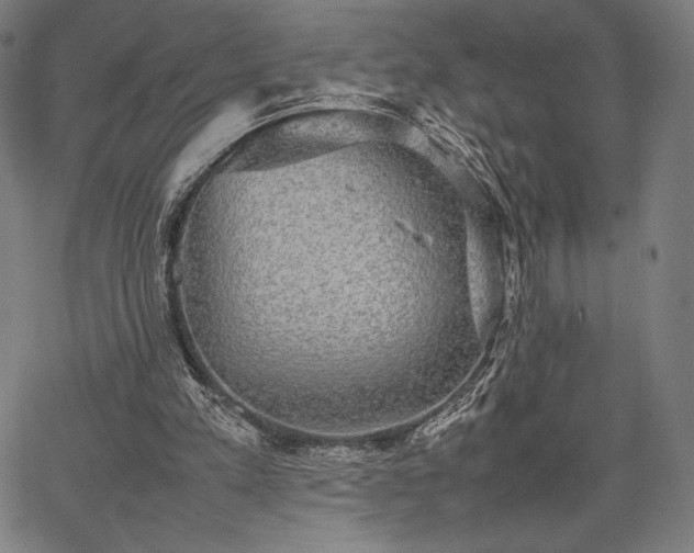 X0000067870197200604201226