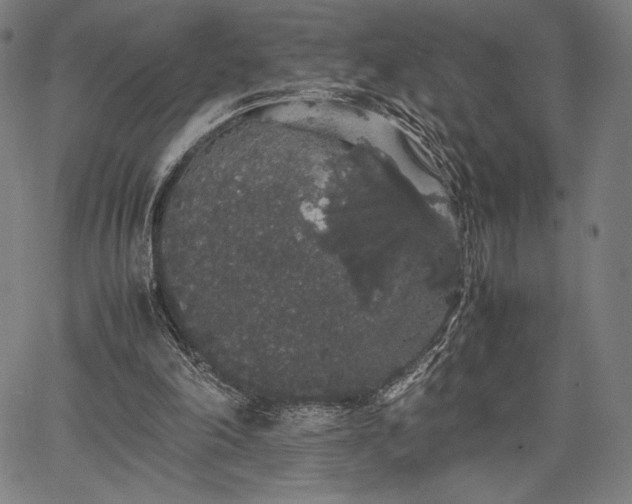 X0000067870198200604201226