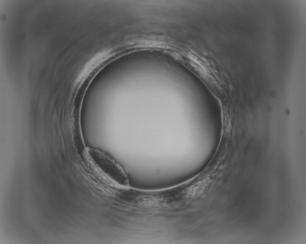 X0000067870199200604201226