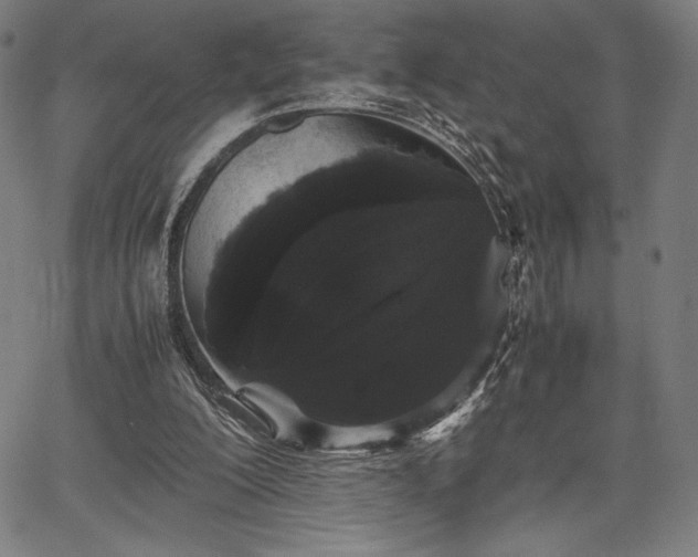 X0000067870200200604201226