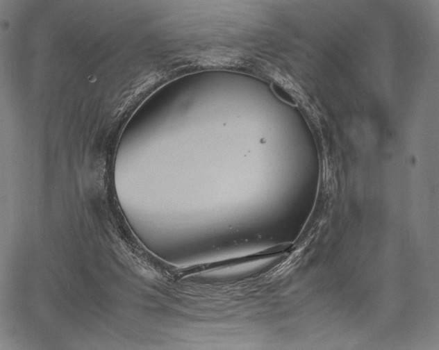 X0000067870201200604201226