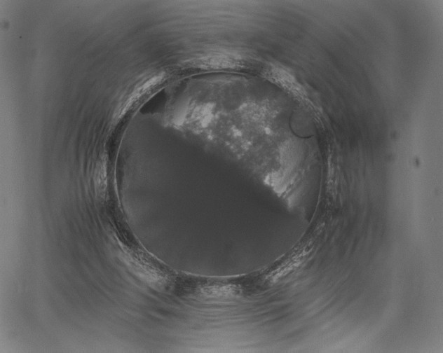 X0000067870202200604201226