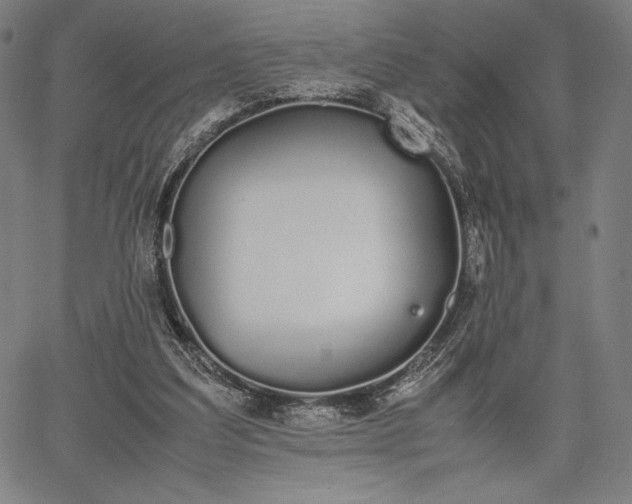 X0000067870203200604201226