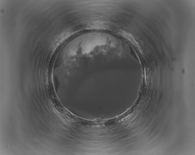 X0000067870204200604201226