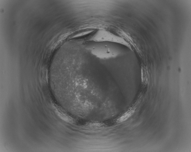 X0000067870205200604201226