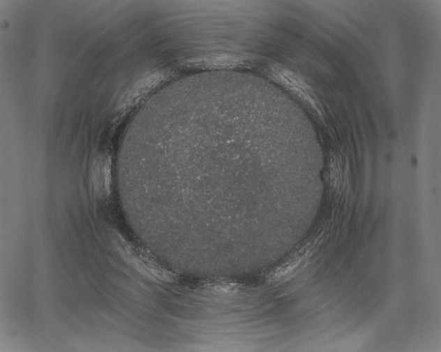 X0000067870206200604201226