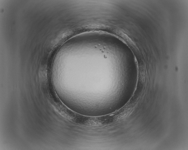 X0000067870207200604201226