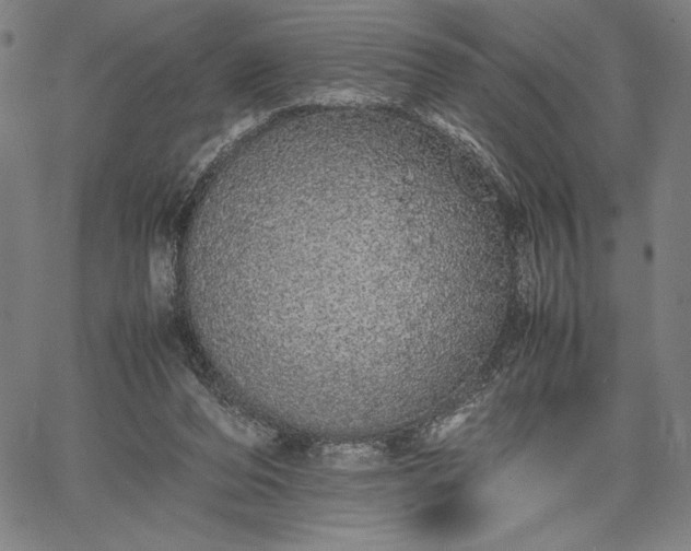 X0000067870208200604201226