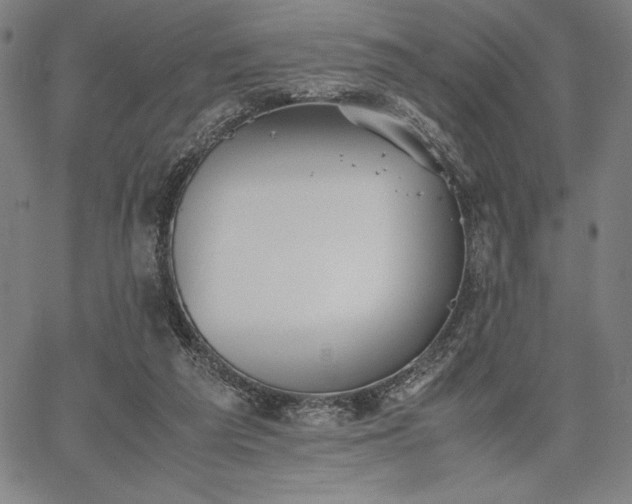 X0000067870209200604201226