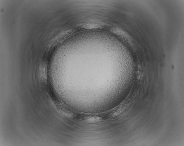 X0000067870210200604201226