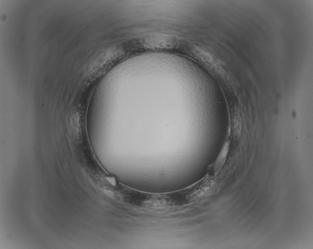 X0000067870211200604201226