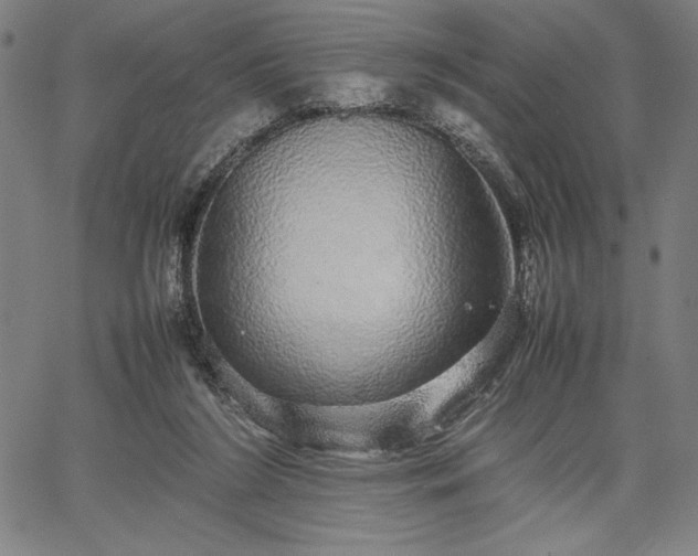 X0000067870212200604201226