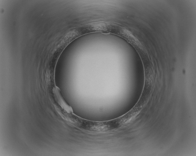 X0000067870213200604201226