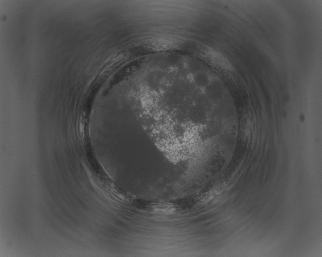 X0000067870214200604201226